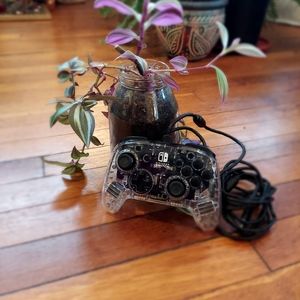 Nintendo Switch Afterglow Wired Controller